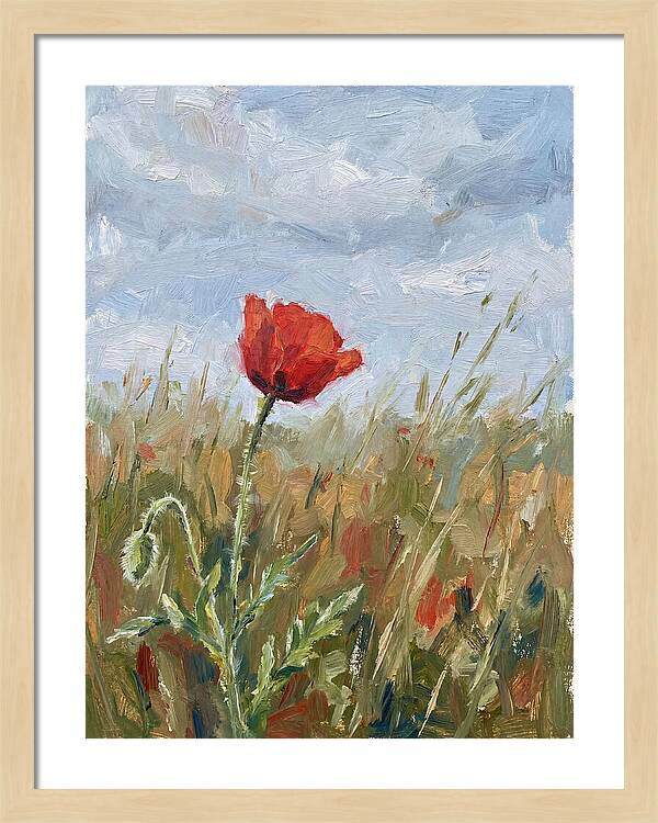 Poppy In The Meadow