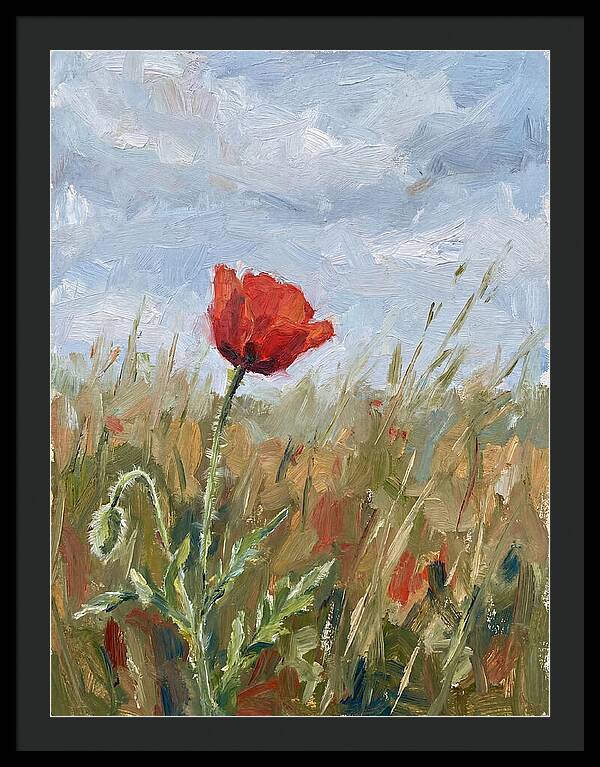 Poppy In The Meadow