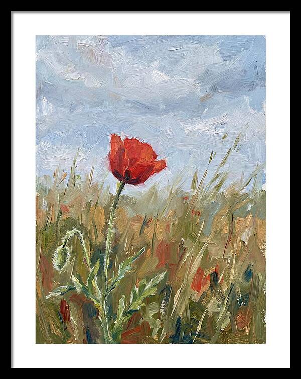 Poppy In The Meadow