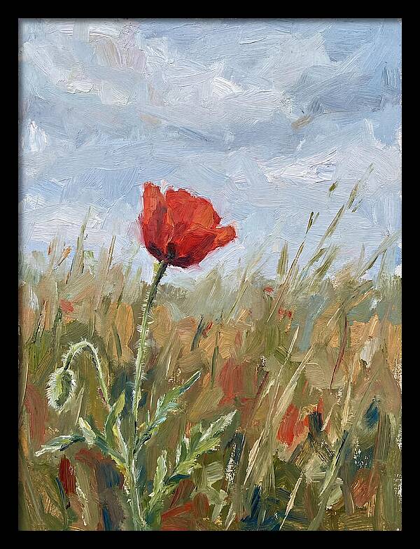 Poppy In The Meadow