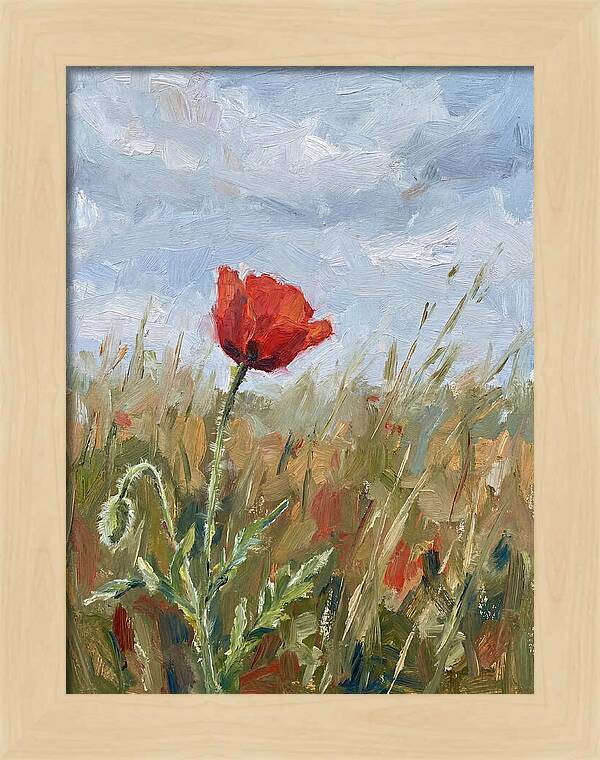 Poppy In The Meadow