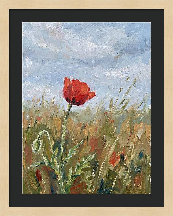 Poppy In The Meadow