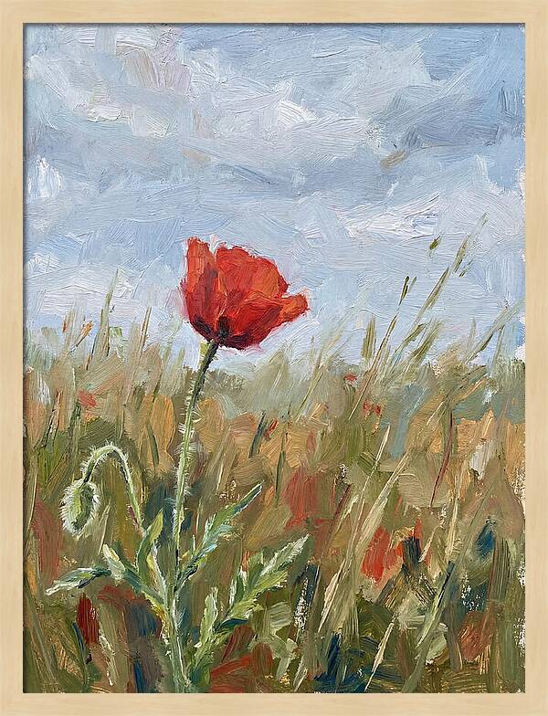 Poppy In The Meadow