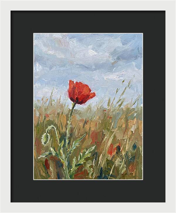 Poppy In The Meadow