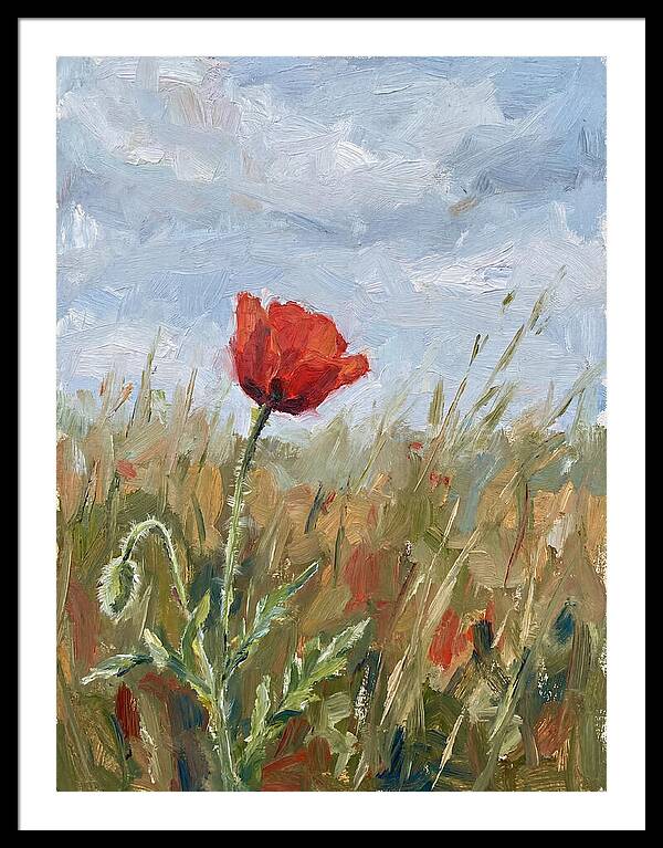 Poppy In The Meadow