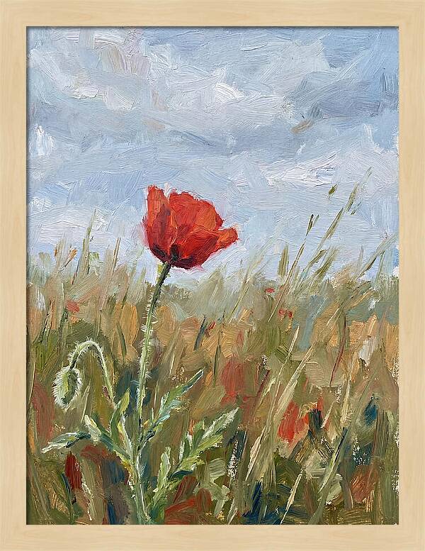Poppy In The Meadow