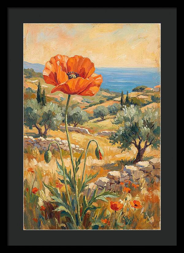 Poppy In The Mediterranean Landscape