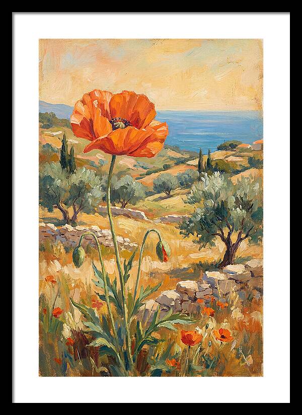 Poppy In The Mediterranean Landscape