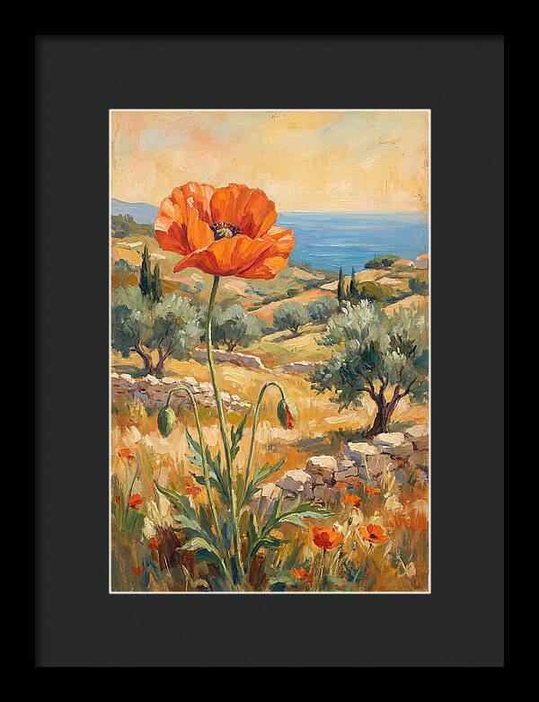 Poppy In The Mediterranean Landscape
