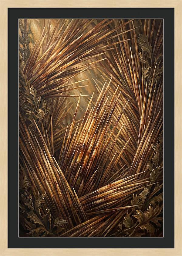 Porcupine Quills Catching Light