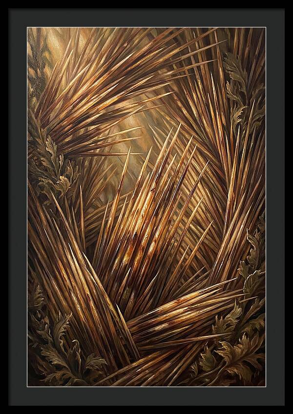 Porcupine Quills Catching Light