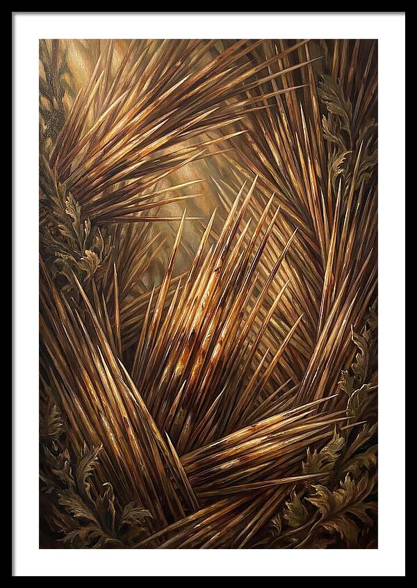 Porcupine Quills Catching Light