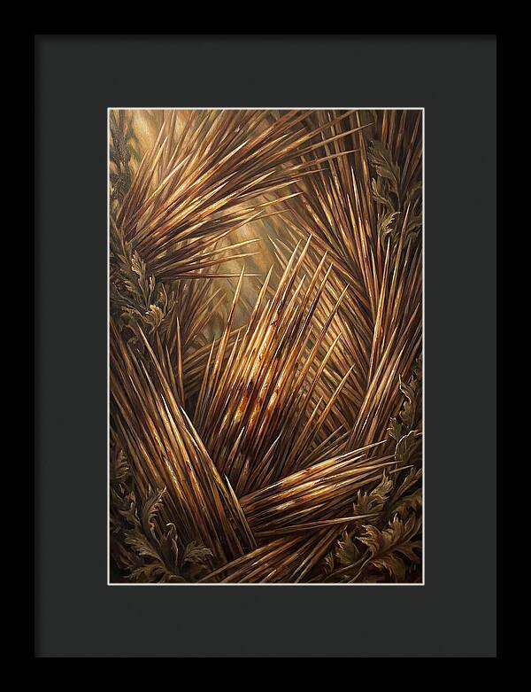 Porcupine Quills Catching Light