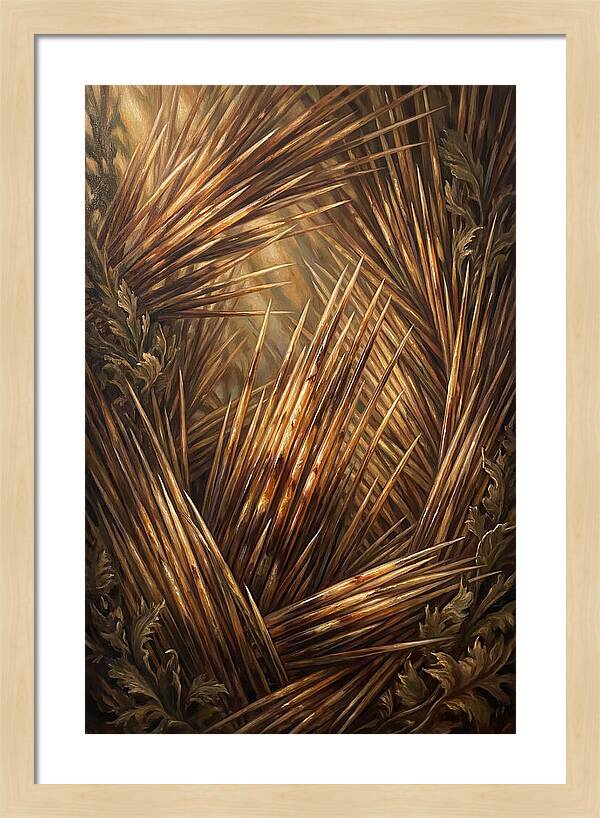 Porcupine Quills Catching Light