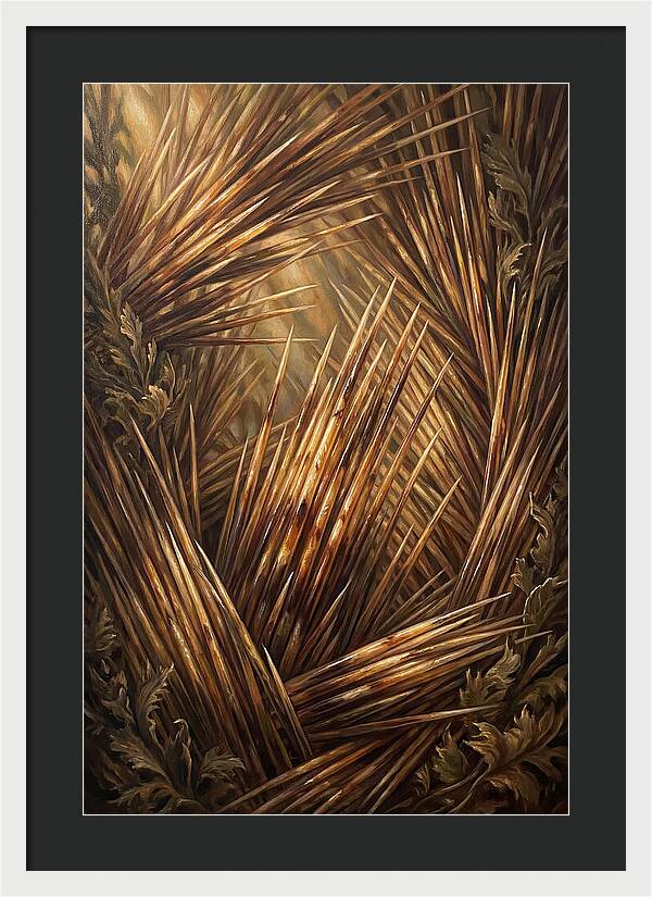 Porcupine Quills Catching Light