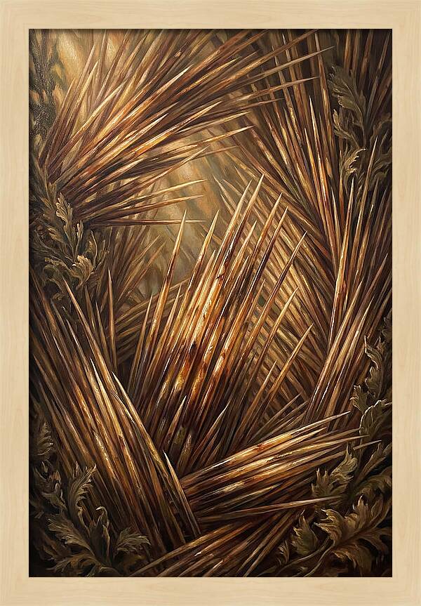 Porcupine Quills Catching Light