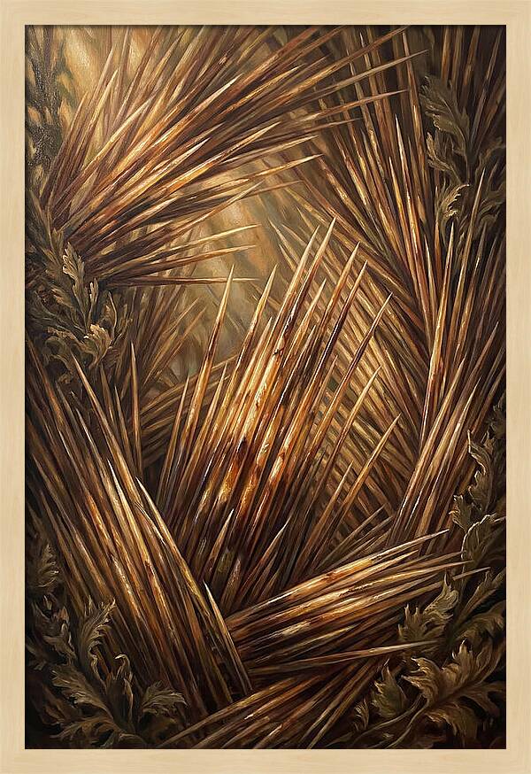 Porcupine Quills Catching Light