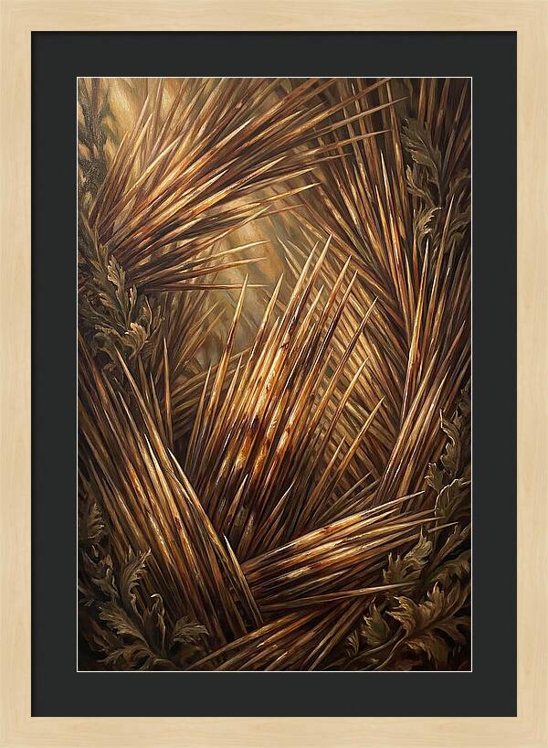 Porcupine Quills Catching Light