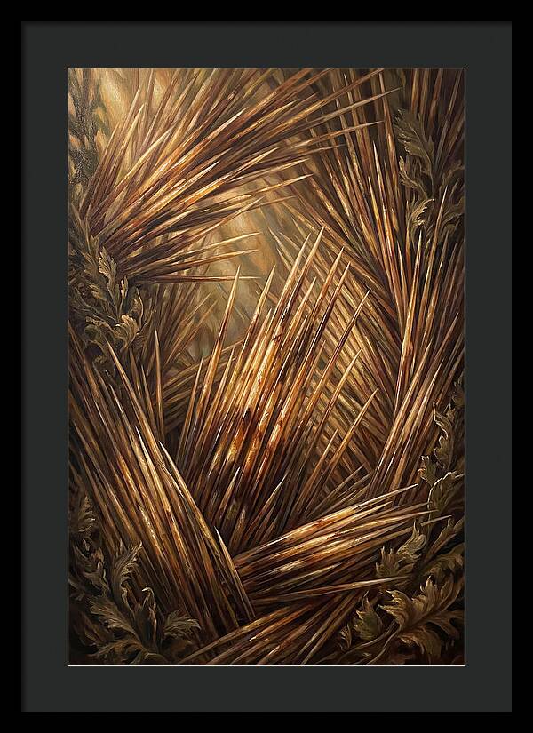 Porcupine Quills Catching Light