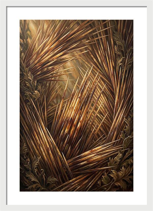 Porcupine Quills Catching Light
