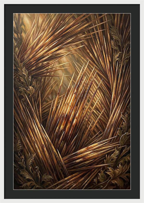 Porcupine Quills Catching Light