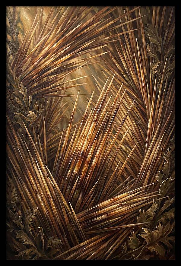 Porcupine Quills Catching Light