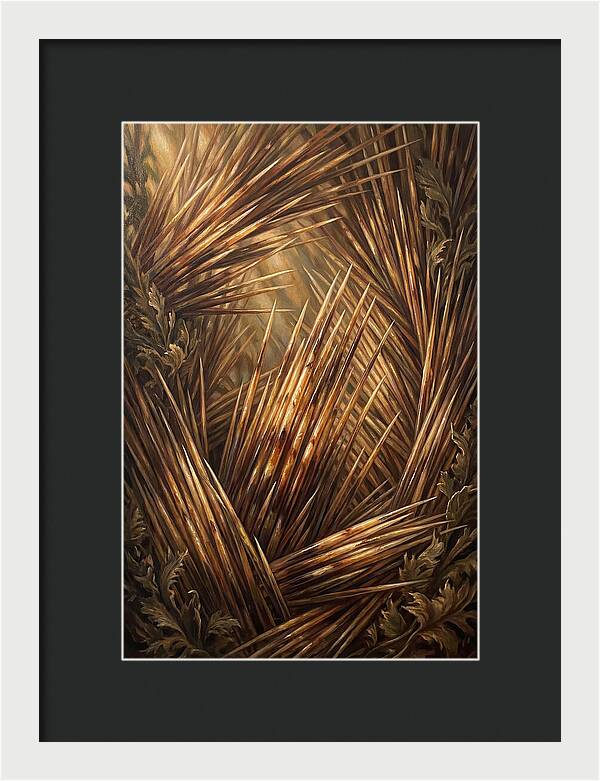 Porcupine Quills Catching Light