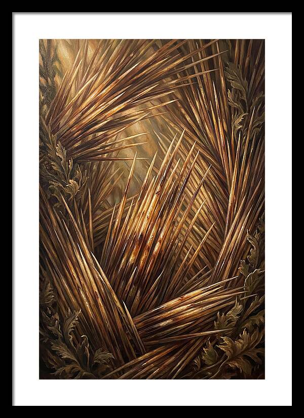 Porcupine Quills Catching Light