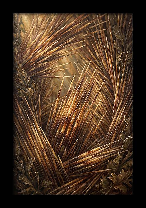 Porcupine Quills Catching Light