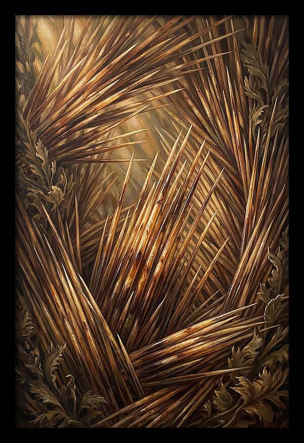 Porcupine Quills Catching Light