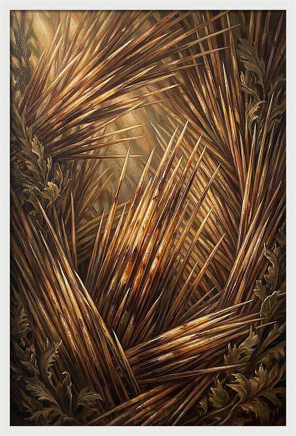 Porcupine Quills Catching Light