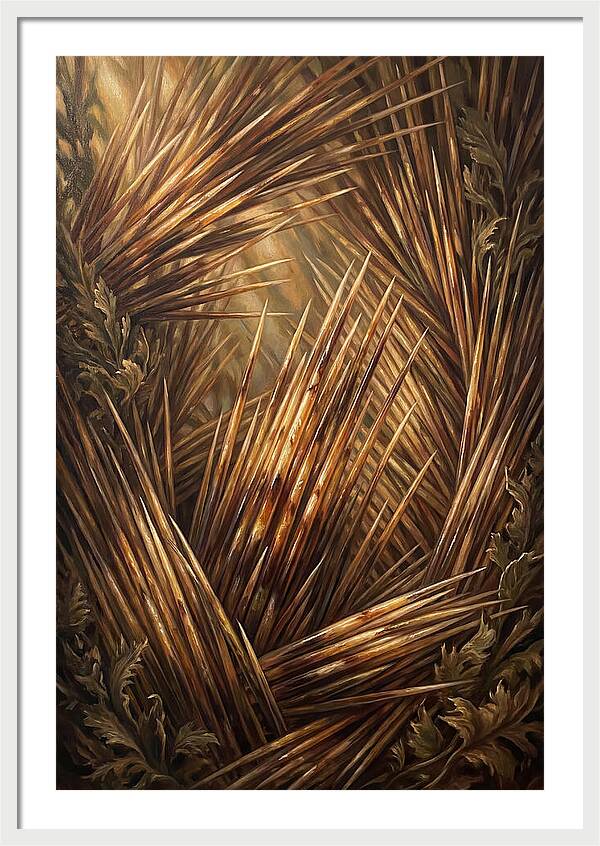 Porcupine Quills Catching Light