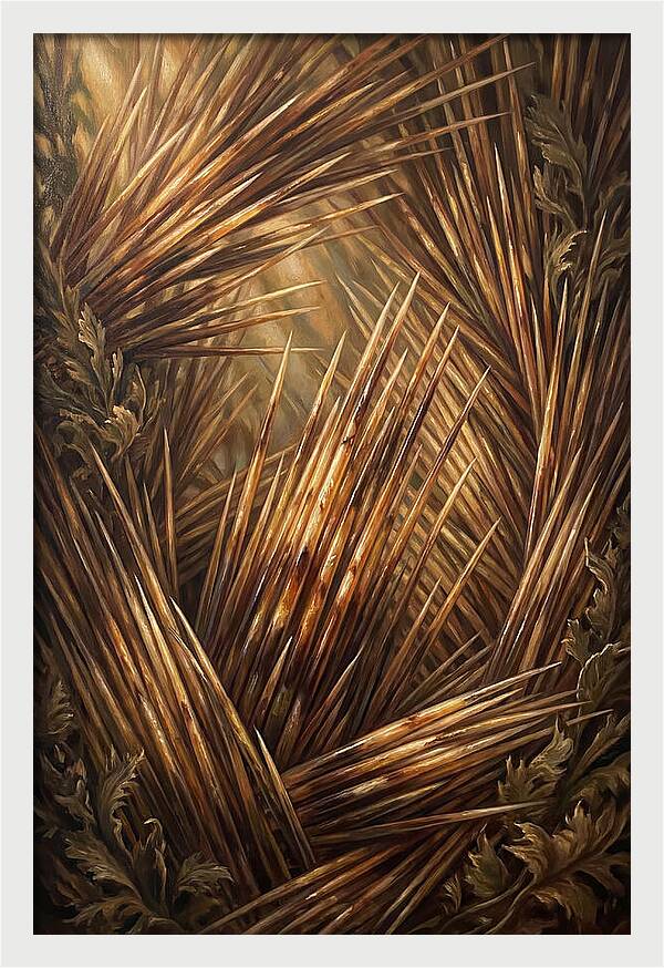 Porcupine Quills Catching Light