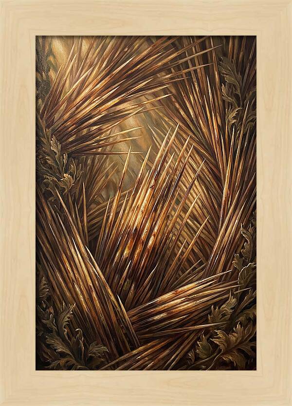 Porcupine Quills Catching Light