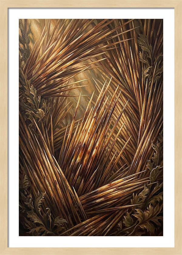 Porcupine Quills Catching Light