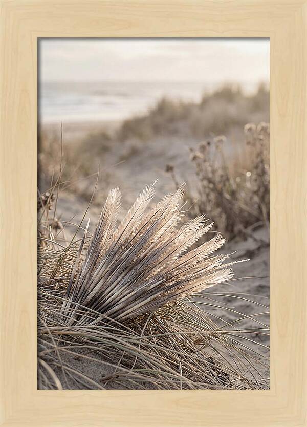 Porcupine Quills Catching Light