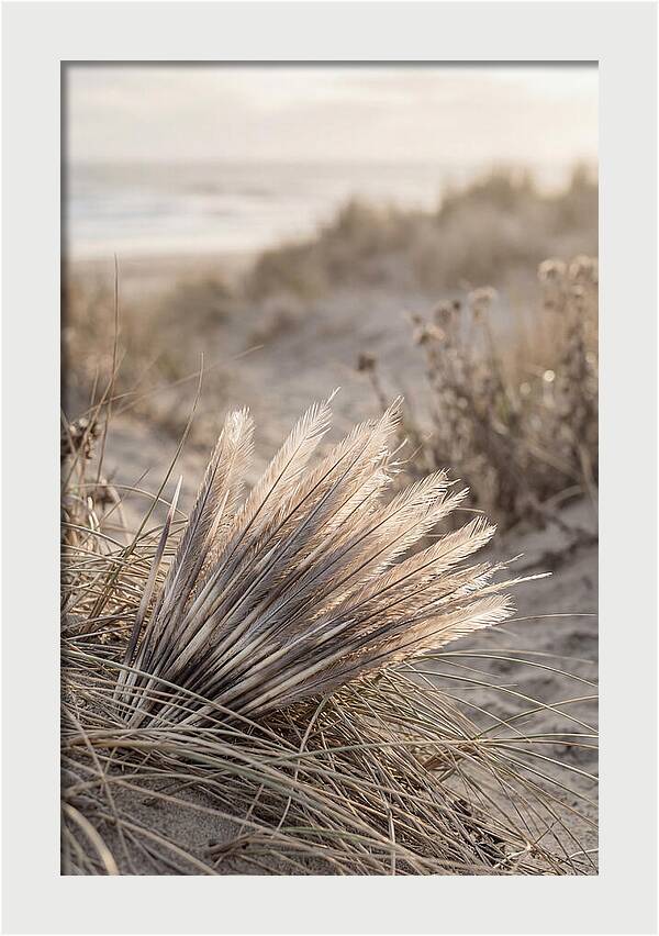 Porcupine Quills Catching Light
