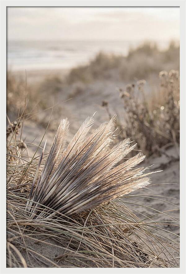 Porcupine Quills Catching Light