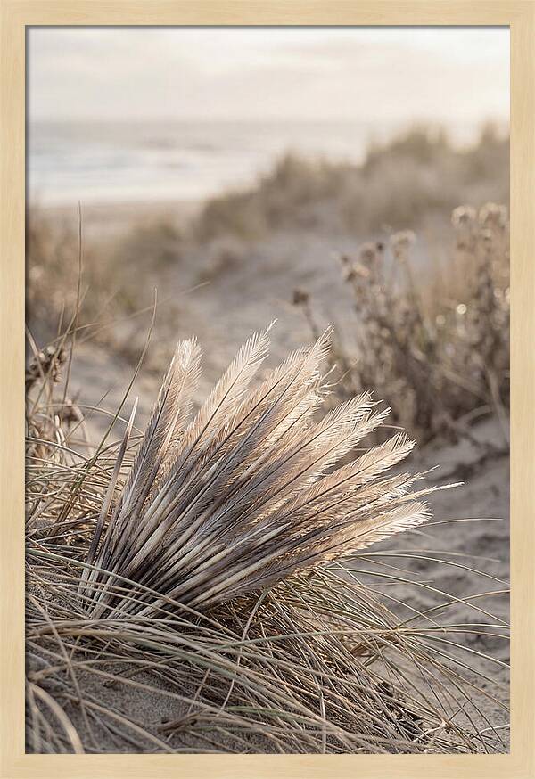 Porcupine Quills Catching Light