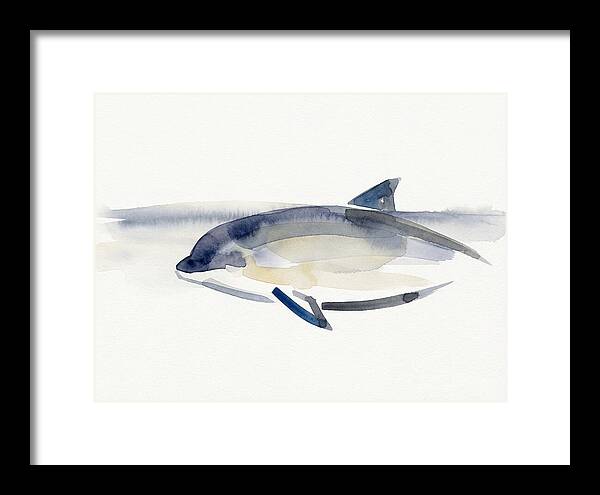 Porpoise In Tranquil Waters