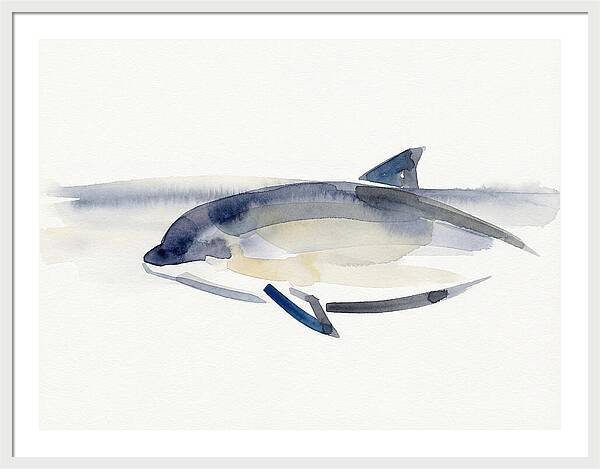Porpoise In Tranquil Waters