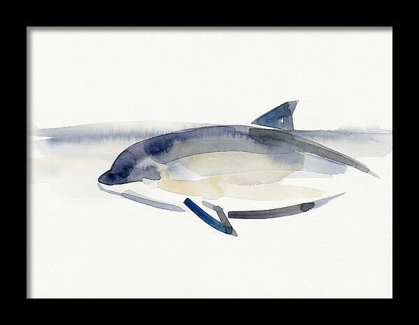Porpoise In Tranquil Waters