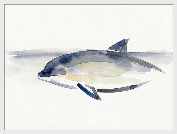Porpoise In Tranquil Waters