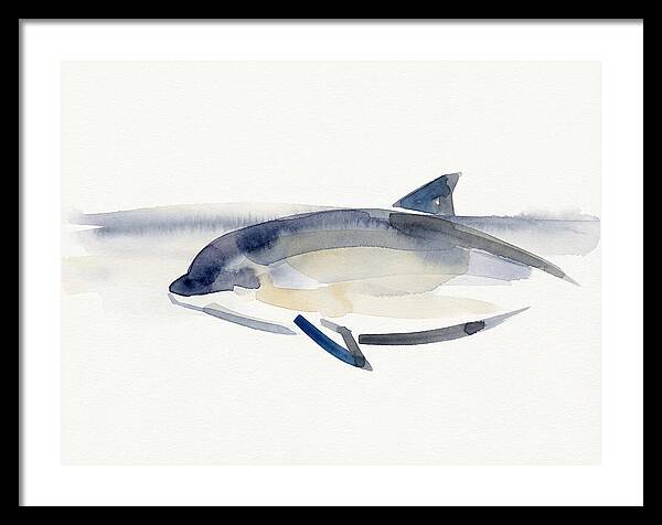 Porpoise In Tranquil Waters