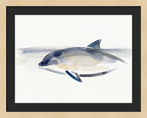 Porpoise In Tranquil Waters