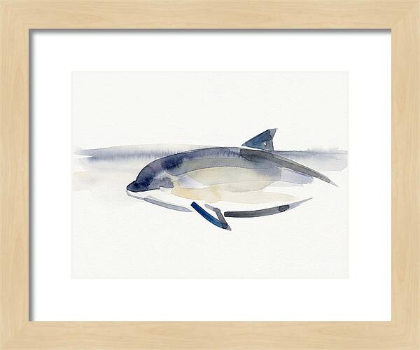 Porpoise In Tranquil Waters