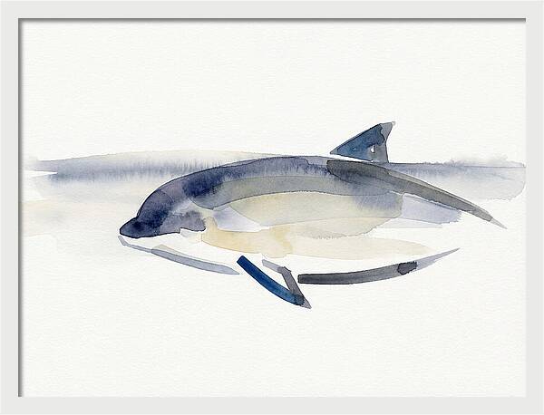 Porpoise In Tranquil Waters
