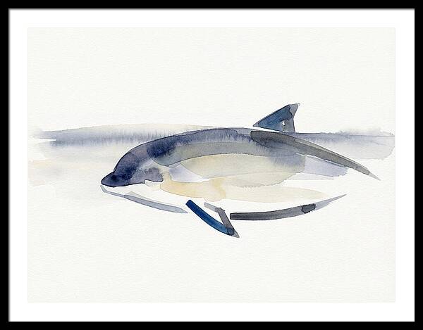 Porpoise In Tranquil Waters