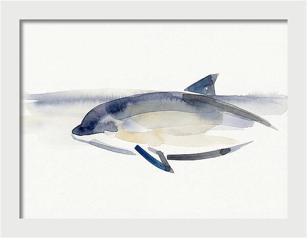 Porpoise In Tranquil Waters