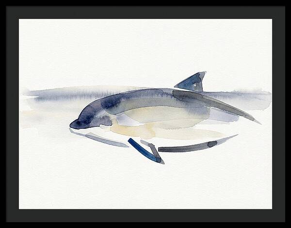 Porpoise In Tranquil Waters